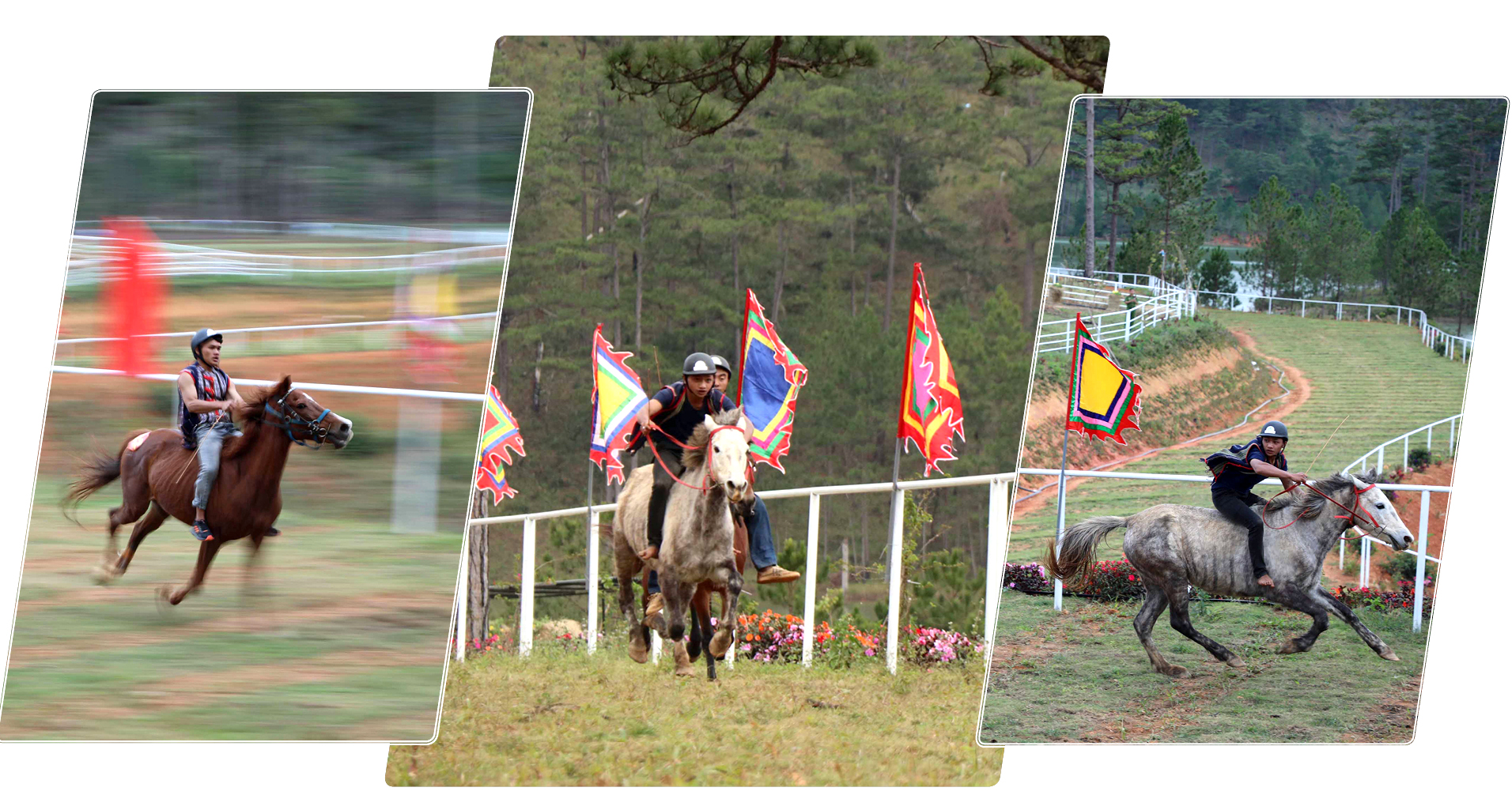 Độc đáo giải đua ngựa không yên ở Lạc Dương - Lâm Đồng ảnh 5