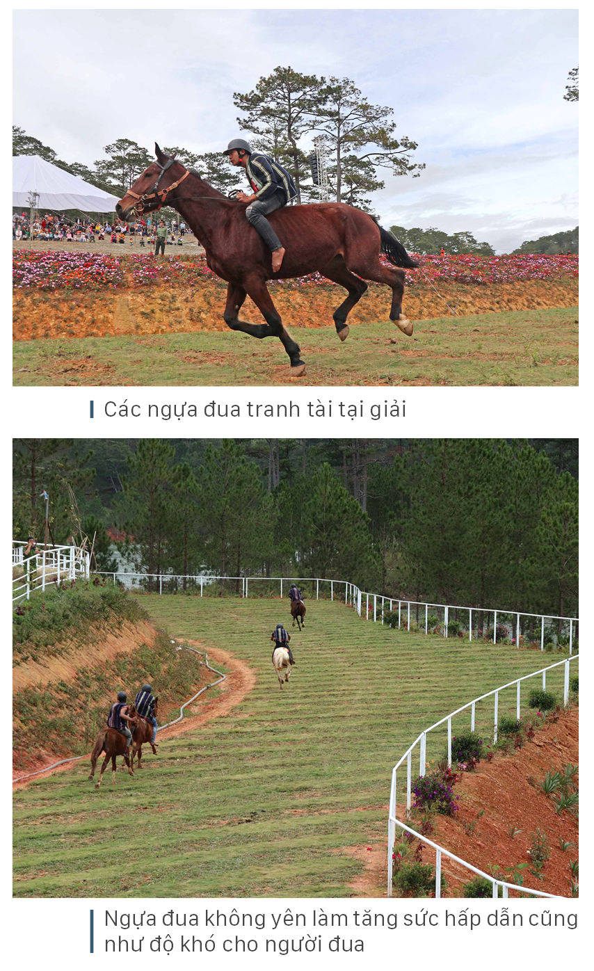 Độc đáo giải đua ngựa không yên ở Lạc Dương - Lâm Đồng ảnh 6