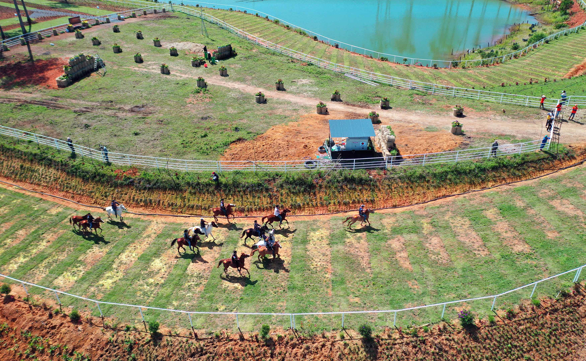 Độc đáo giải đua ngựa không yên ở Lạc Dương - Lâm Đồng ảnh 8