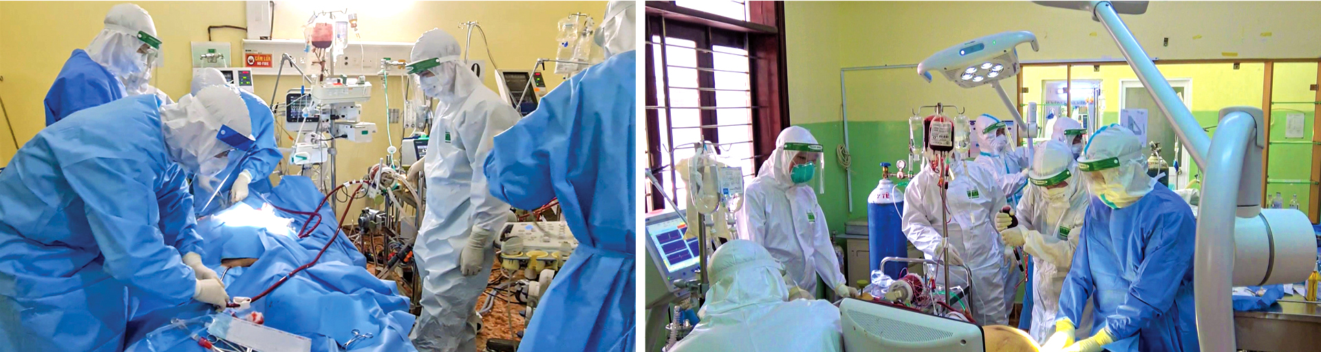 Hồi sinh ngoạn mục ảnh 4