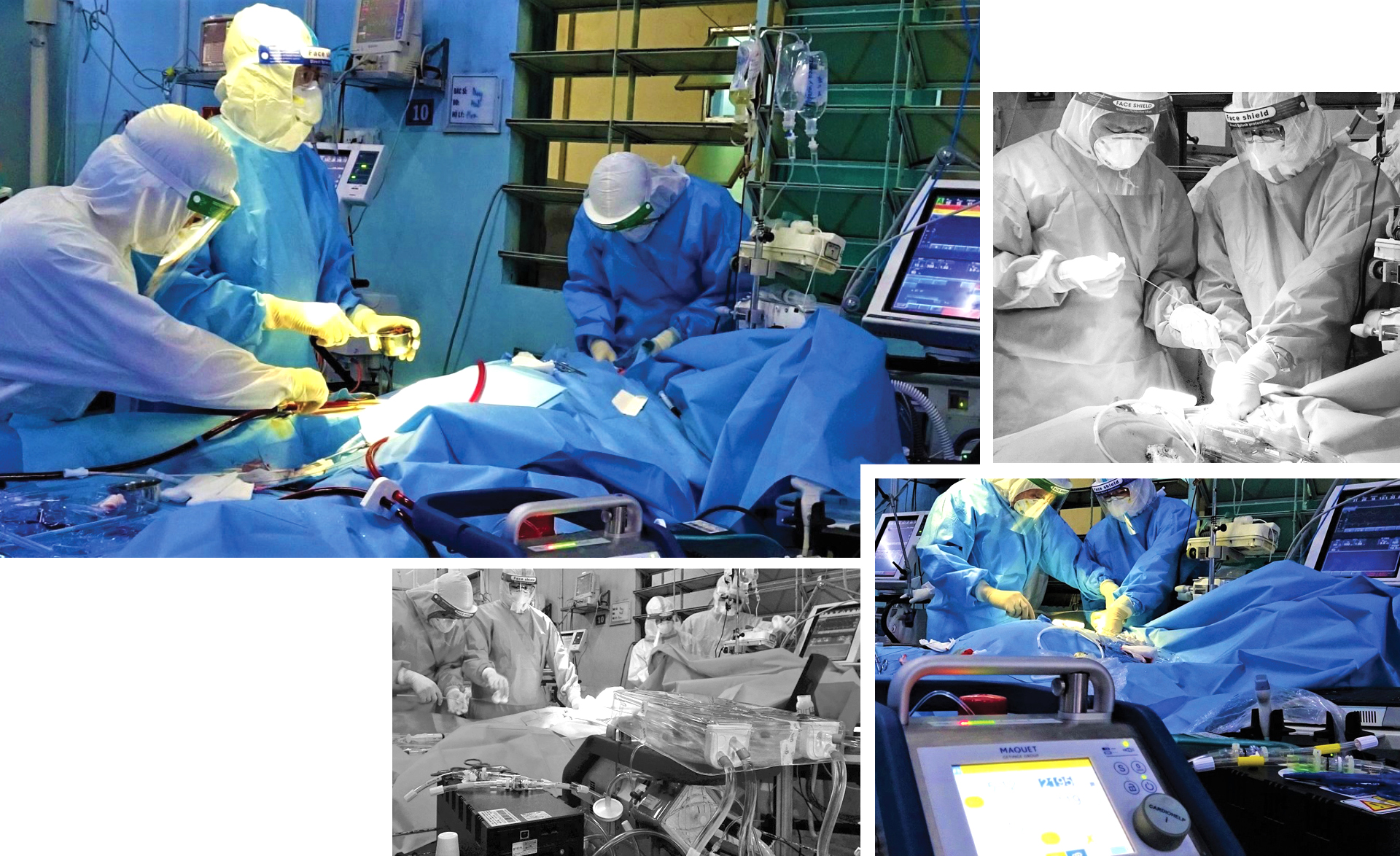 Hồi sinh ngoạn mục ảnh 7