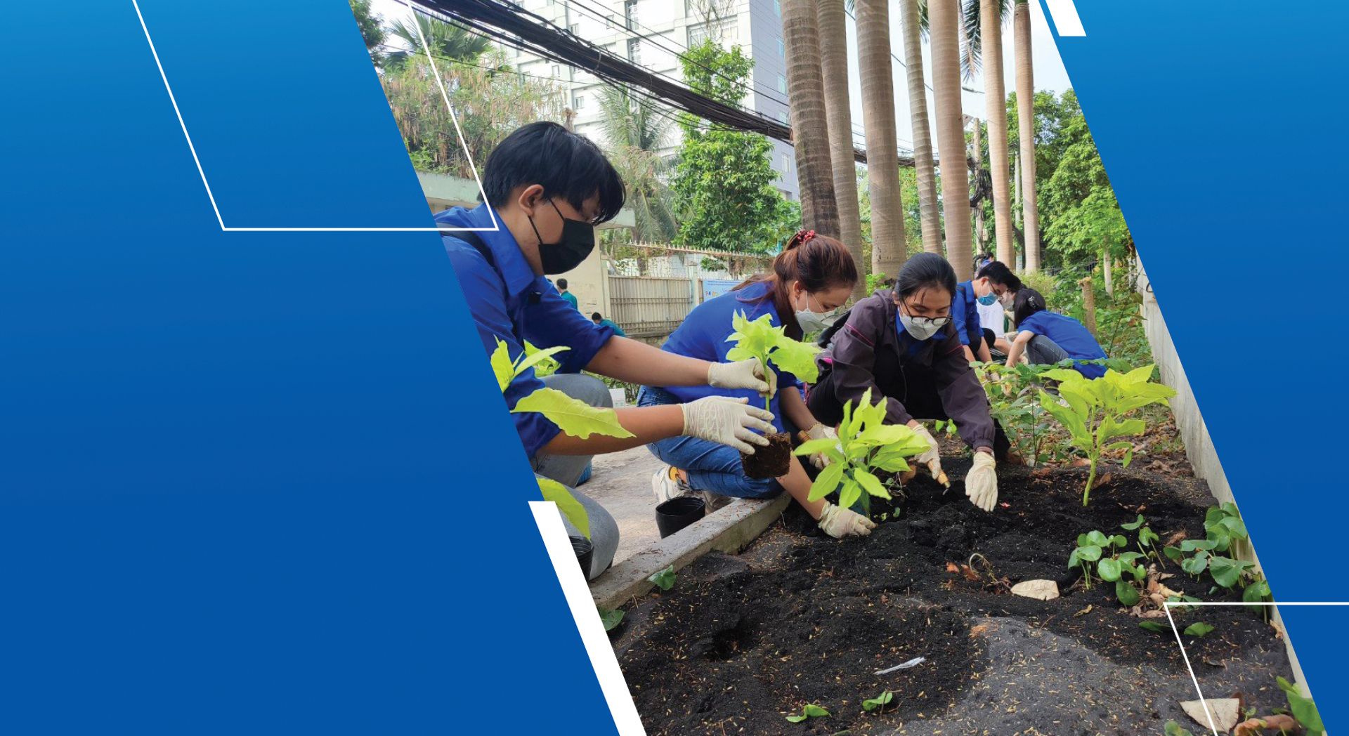 Tuổi trẻ thành phố xông pha, cống hiến ảnh 6