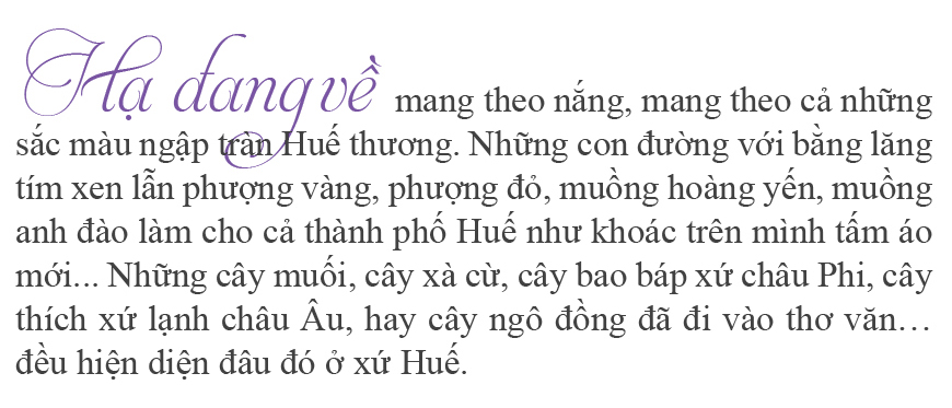 Xứ Huế mùa hoa nở ảnh 10
