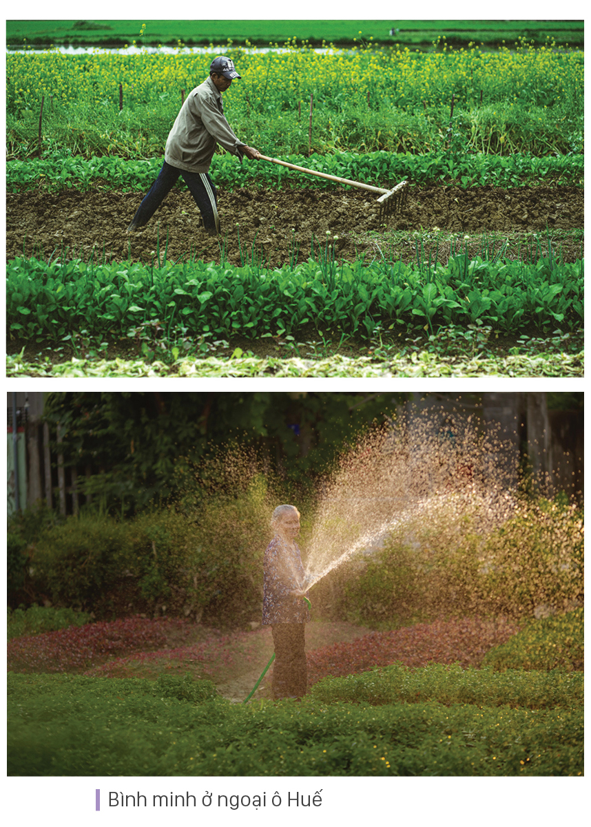 Xứ Huế mùa hoa nở ảnh 13