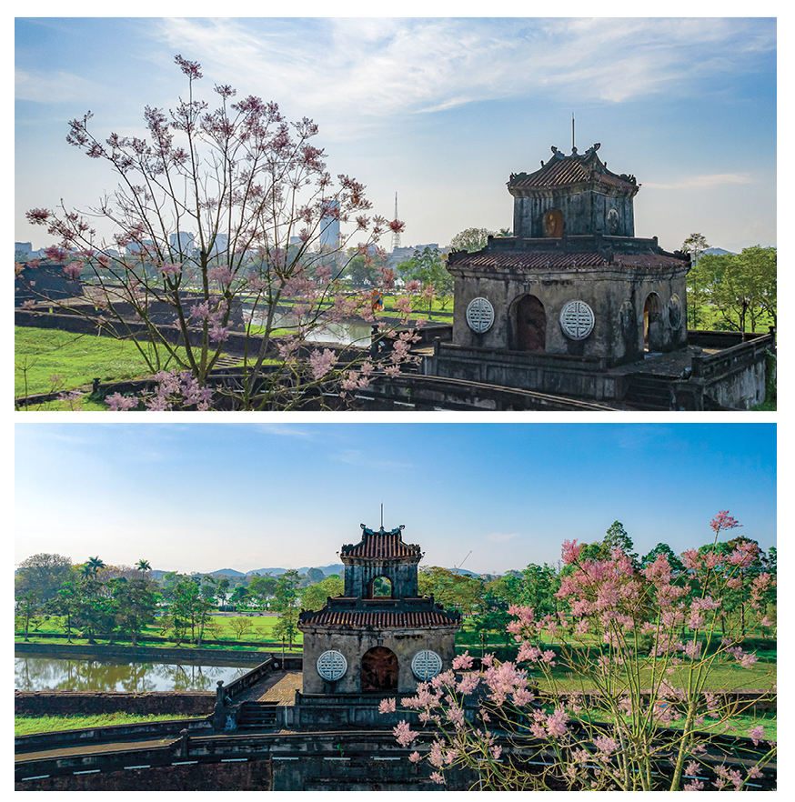 Xứ Huế mùa hoa nở ảnh 2