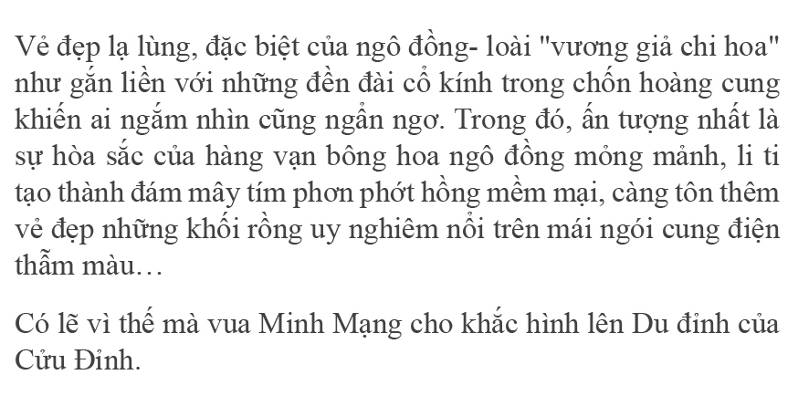 Xứ Huế mùa hoa nở ảnh 4