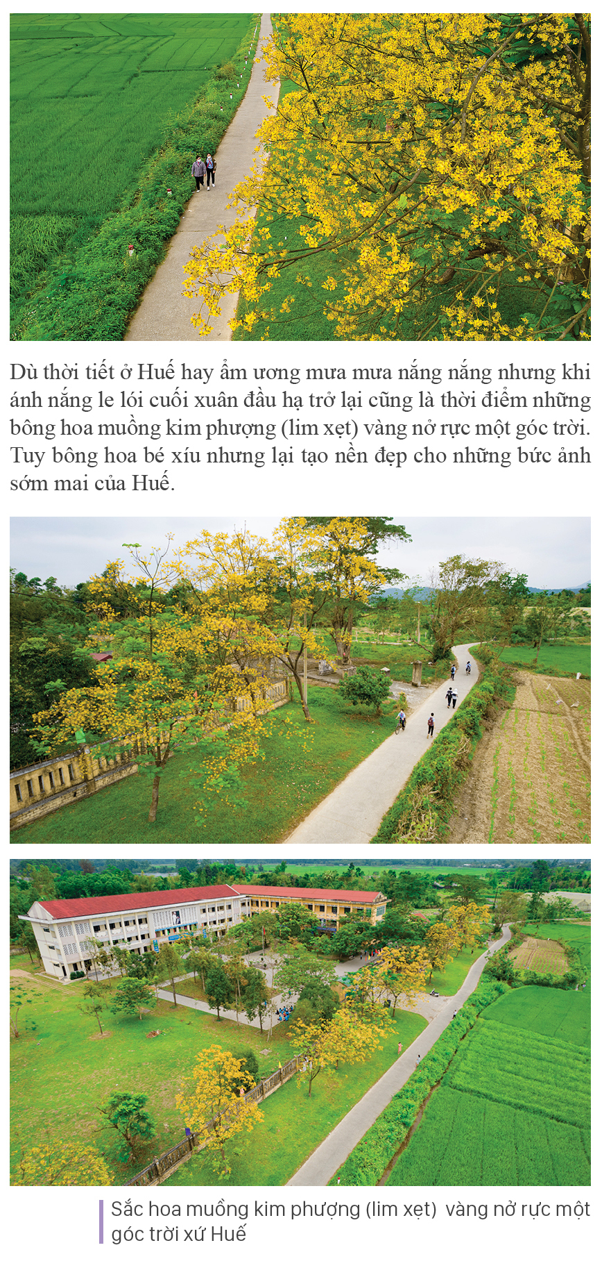 Xứ Huế mùa hoa nở ảnh 6