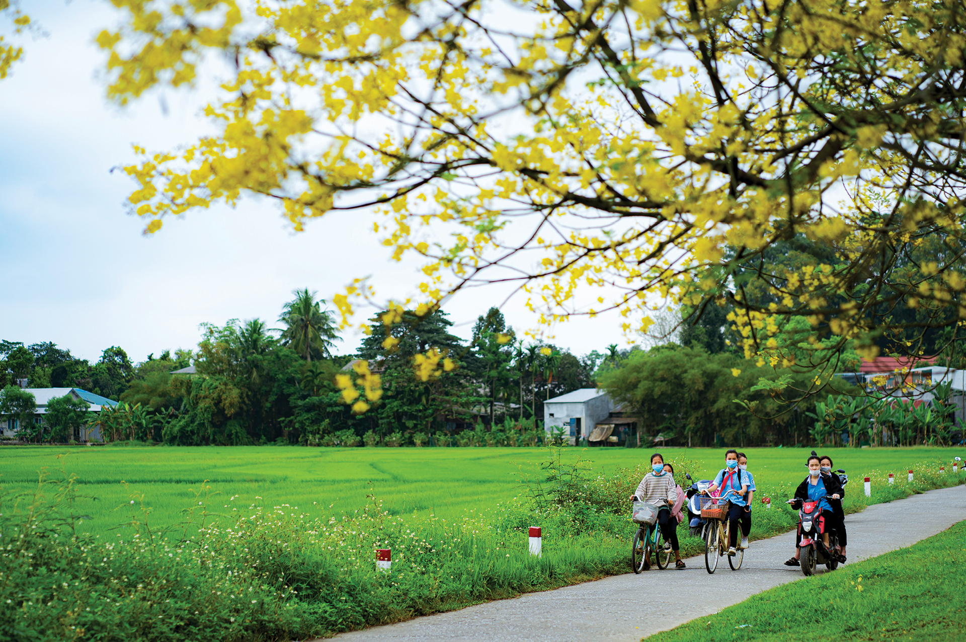 Xứ Huế mùa hoa nở ảnh 9