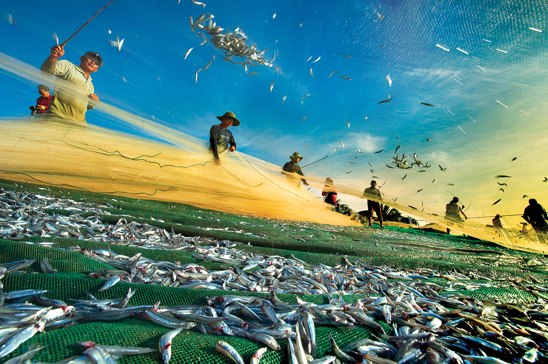 Ninh Thuận - con đường di sản ảnh 13