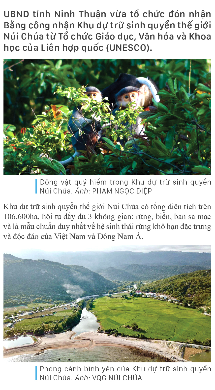 Ninh Thuận - con đường di sản ảnh 1