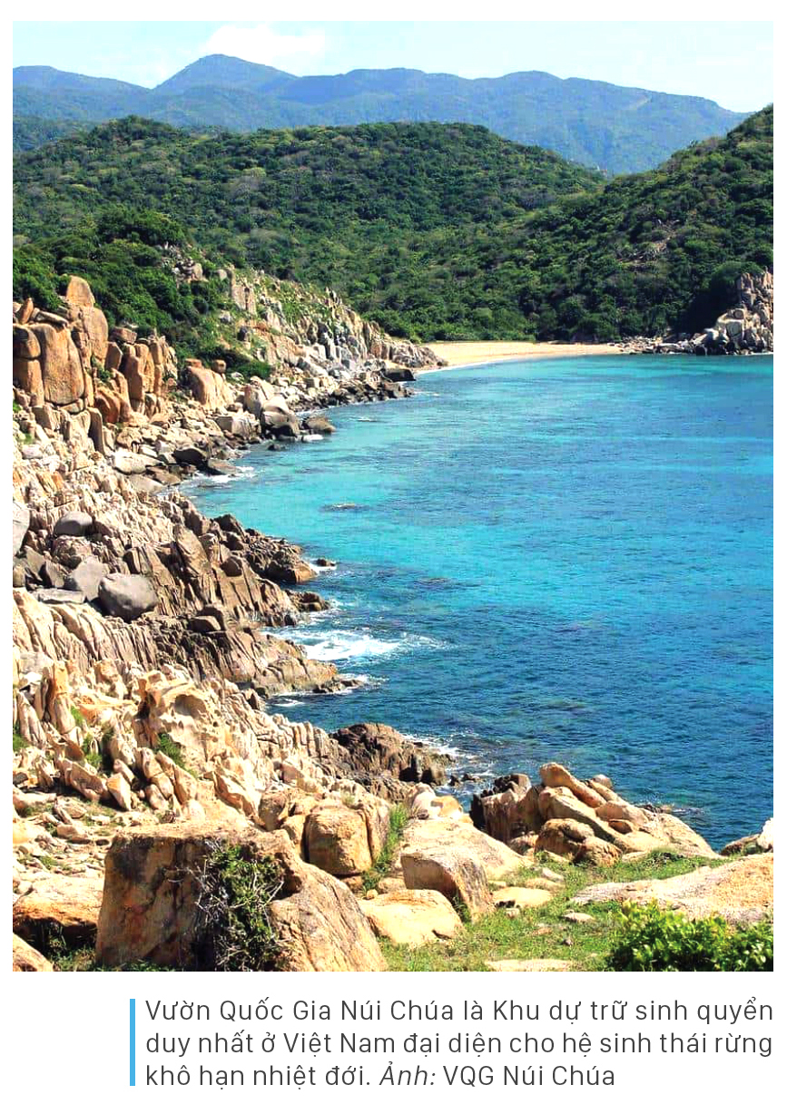 Ninh Thuận - con đường di sản ảnh 4