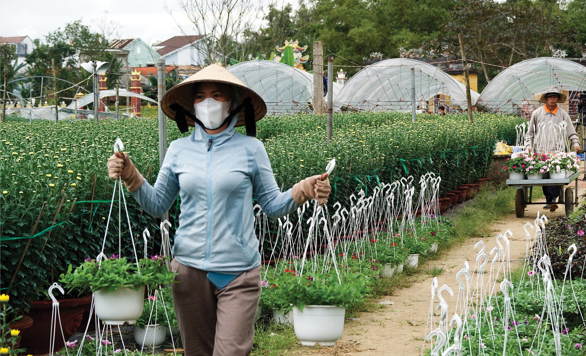 Vượt khó mùa dịch, làng hoa Đà Nẵng tất bật vào vụ tết ảnh 7