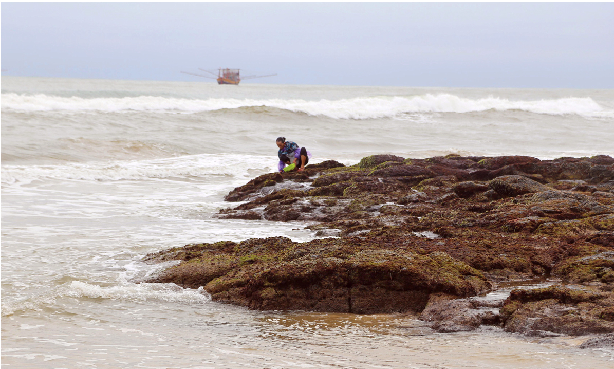 Bám ghềnh đá hái rau câu ảnh 3