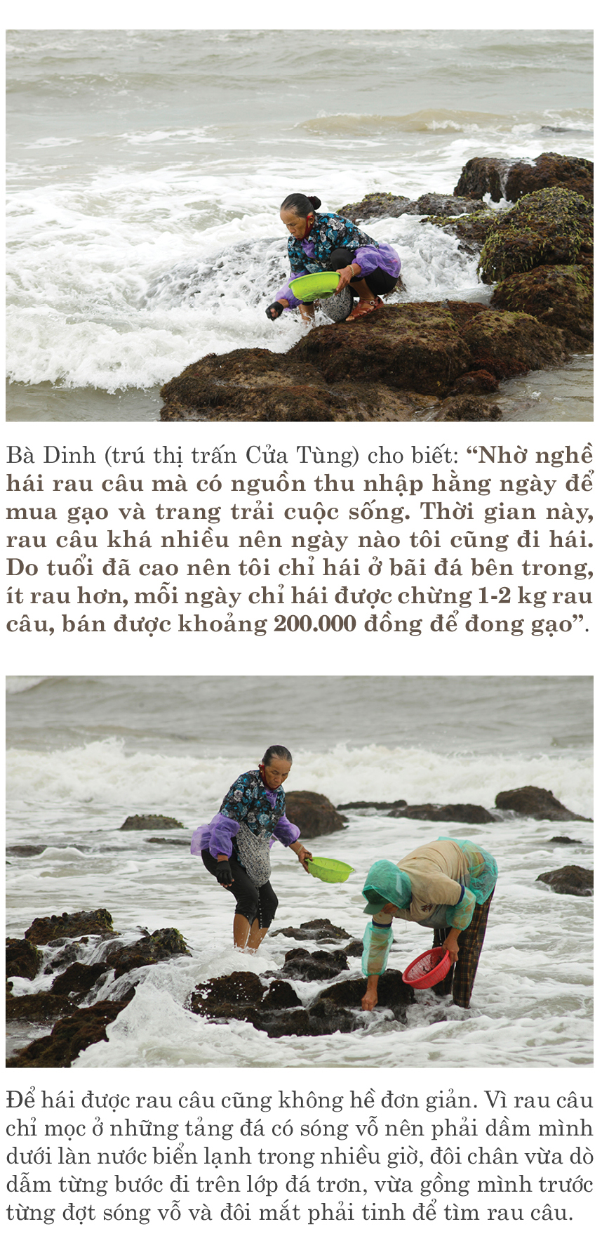 Bám ghềnh đá hái rau câu ảnh 7