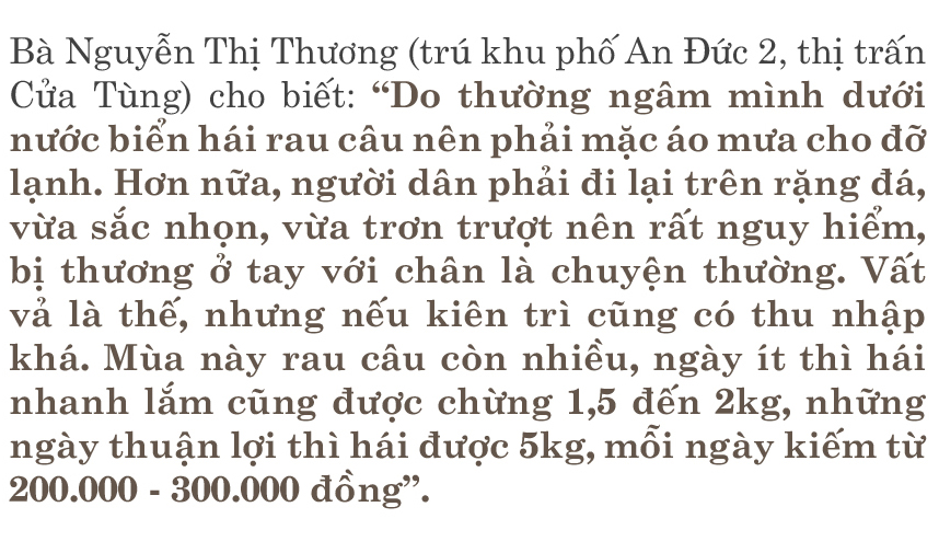 Bám ghềnh đá hái rau câu ảnh 9