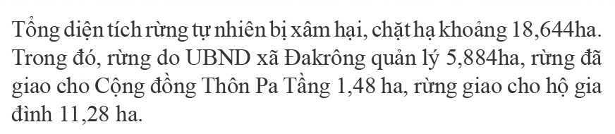 Hơn 18ha rừng tự nhiên bị chặt phá trơ trụi ảnh 4