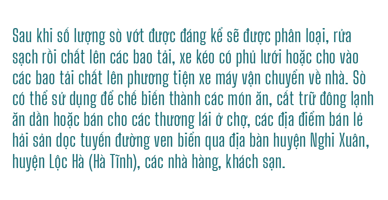 Đổ xô vớt 'lộc' sò biển ảnh 10