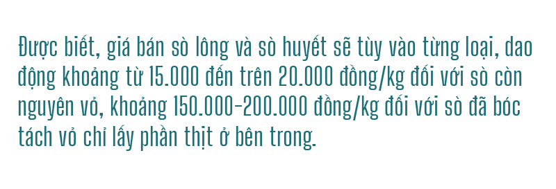 Đổ xô vớt 'lộc' sò biển ảnh 13