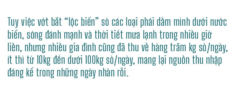 Đổ xô vớt 'lộc' sò biển ảnh 16