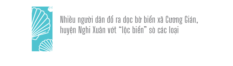 Đổ xô vớt 'lộc' sò biển ảnh 18