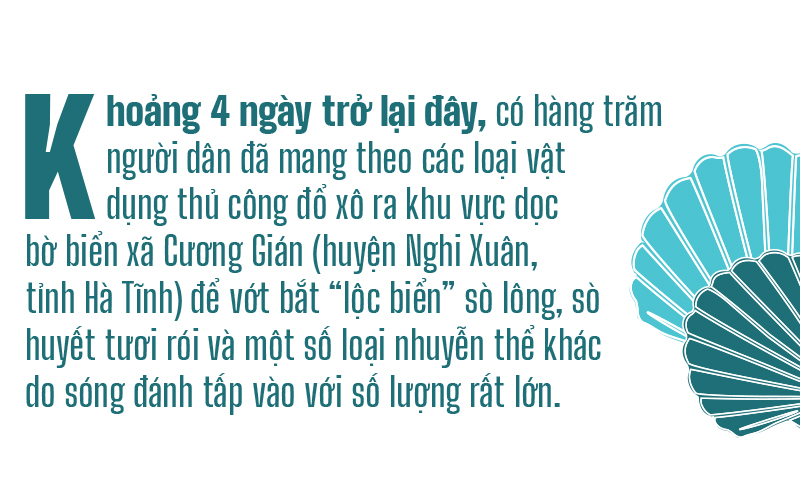 Đổ xô vớt 'lộc' sò biển ảnh 1