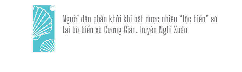 Đổ xô vớt 'lộc' sò biển ảnh 21