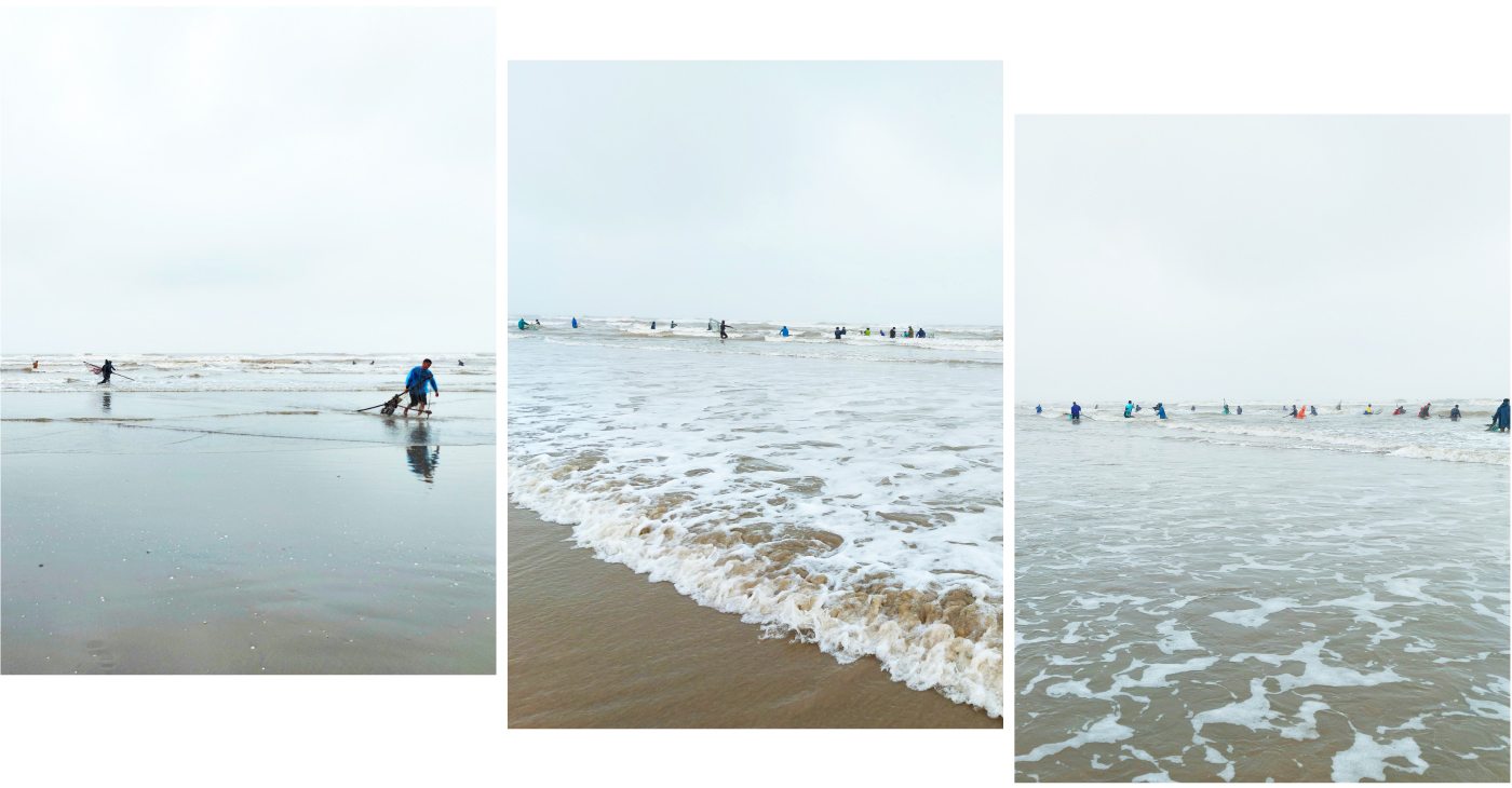 Đổ xô vớt 'lộc' sò biển ảnh 2