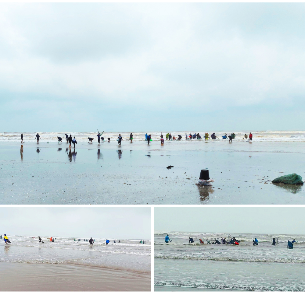 Đổ xô vớt 'lộc' sò biển ảnh 4