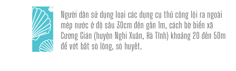 Đổ xô vớt 'lộc' sò biển ảnh 5