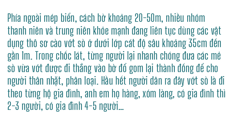Đổ xô vớt 'lộc' sò biển ảnh 6