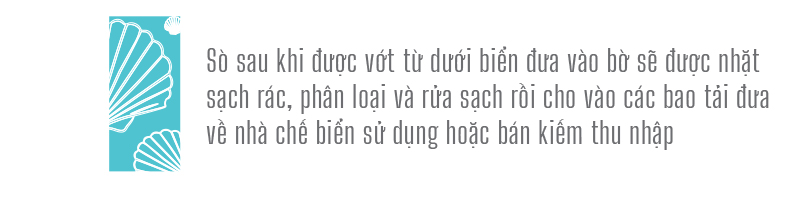 Đổ xô vớt 'lộc' sò biển ảnh 9