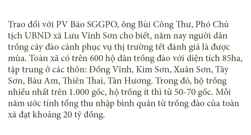 'Thủ phủ' đào nổi tiếng nhất Hà Tĩnh chuẩn bị vào vụ tết ảnh 17