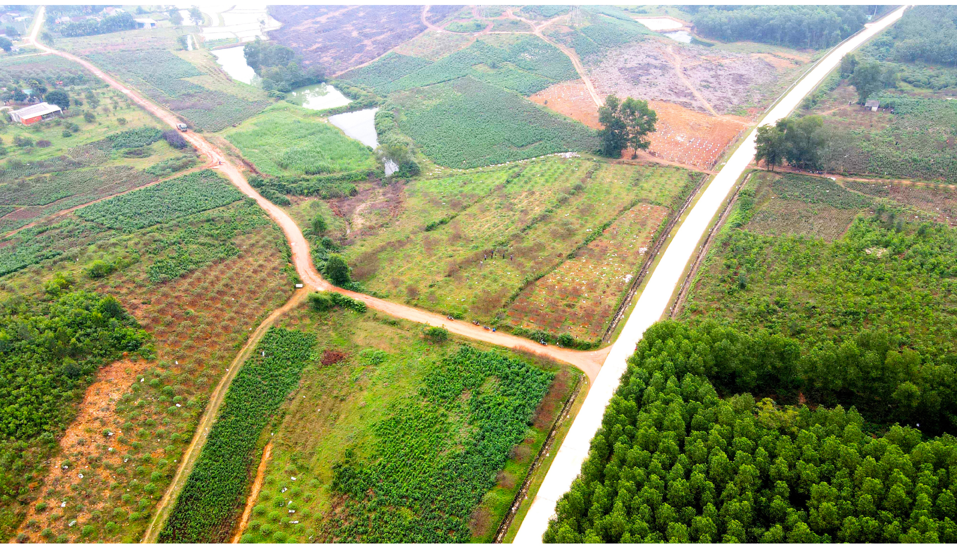 'Thủ phủ' đào nổi tiếng nhất Hà Tĩnh chuẩn bị vào vụ tết ảnh 20