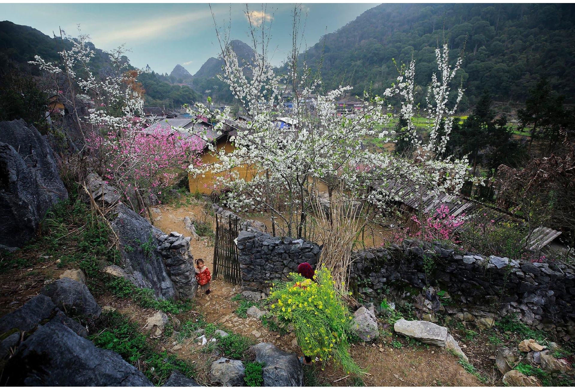 Du khách ngất ngây với cảnh sắc đầu xuân ở miền cao nguyên đá Hà Giang ảnh 5