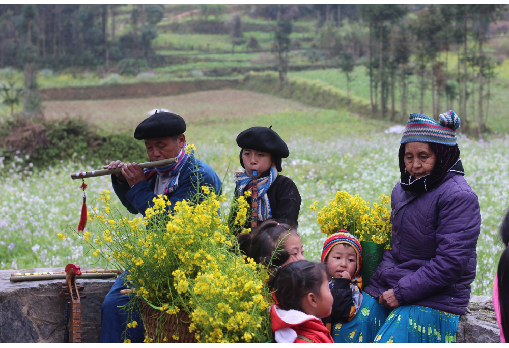 Du khách ngất ngây với cảnh sắc đầu xuân ở miền cao nguyên đá Hà Giang ảnh 9