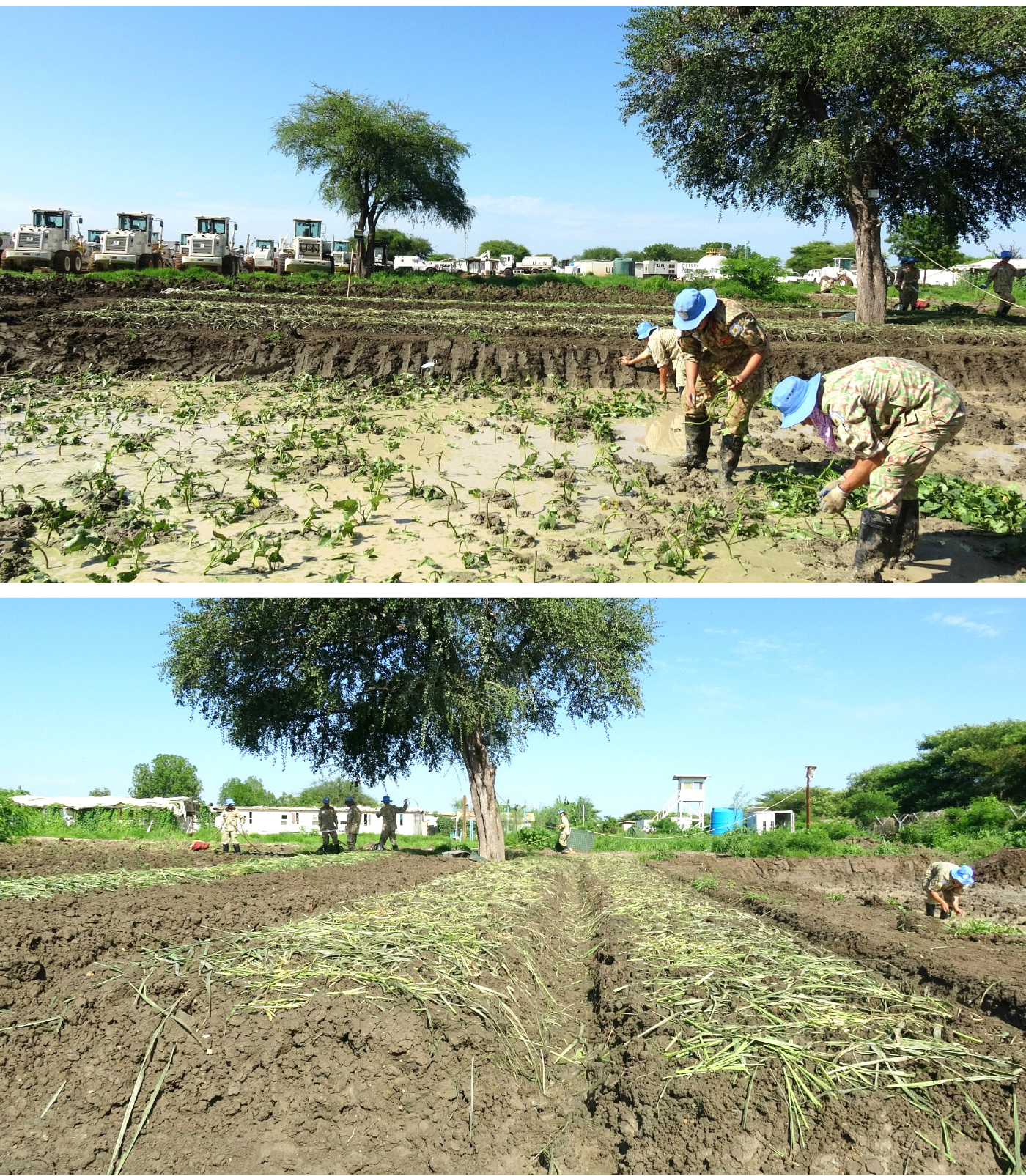 Những người lính mũ nồi xanh bắt 'đất cằn nở hoa' trên đất Abyei ảnh 8