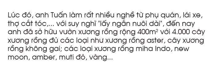 Vườn xương rồng hơn 4.000 cây của chàng trai 9X Quảng Ngãi ảnh 18