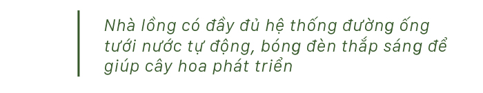 Quảng Ngãi thí điểm mô hình nhà lồng trồng hoa ảnh 12