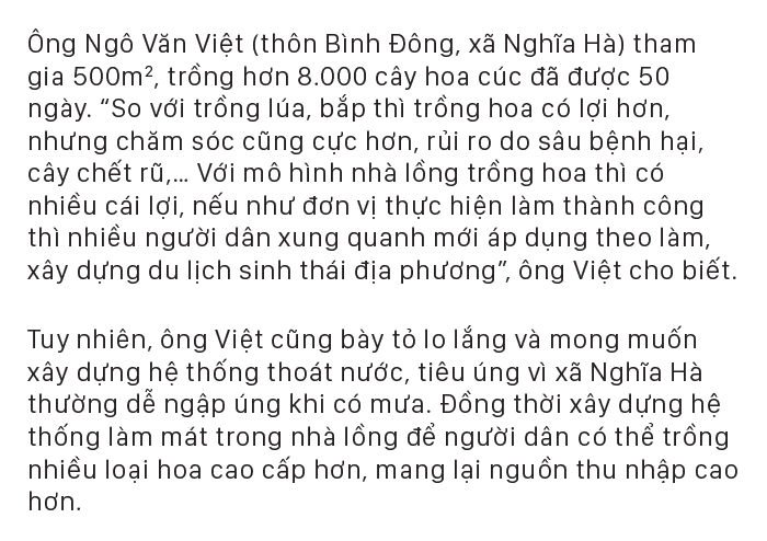 Quảng Ngãi thí điểm mô hình nhà lồng trồng hoa ảnh 13