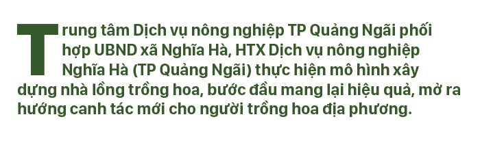Quảng Ngãi thí điểm mô hình nhà lồng trồng hoa ảnh 1