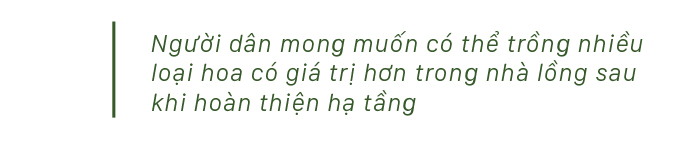 Quảng Ngãi thí điểm mô hình nhà lồng trồng hoa ảnh 20