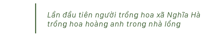 Quảng Ngãi thí điểm mô hình nhà lồng trồng hoa ảnh 22