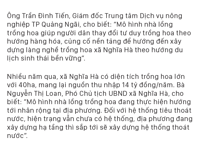 Quảng Ngãi thí điểm mô hình nhà lồng trồng hoa ảnh 23