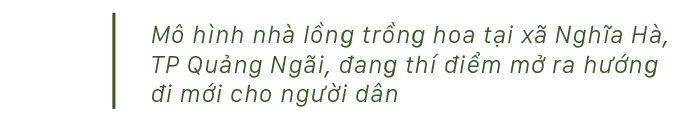 Quảng Ngãi thí điểm mô hình nhà lồng trồng hoa ảnh 3