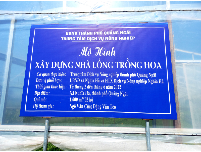 Quảng Ngãi thí điểm mô hình nhà lồng trồng hoa ảnh 5