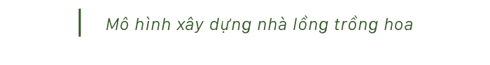 Quảng Ngãi thí điểm mô hình nhà lồng trồng hoa ảnh 6