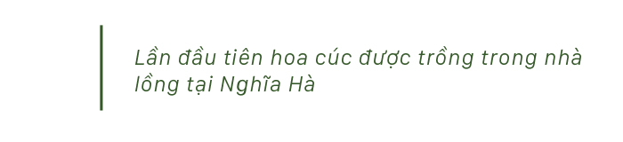 Quảng Ngãi thí điểm mô hình nhà lồng trồng hoa ảnh 9