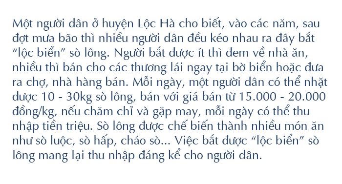 Sau ảnh hưởng bão số 4, người dân đổ xô đi nhặt 'lộc biển' ảnh 10
