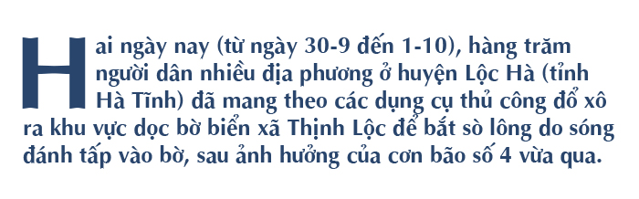 Sau ảnh hưởng bão số 4, người dân đổ xô đi nhặt 'lộc biển' ảnh 1