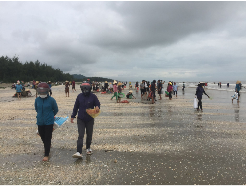 Sau ảnh hưởng bão số 4, người dân đổ xô đi nhặt 'lộc biển' ảnh 3